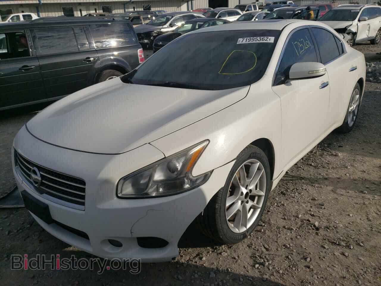 Фотография 1N4AA5AP1AC823830 - NISSAN MAXIMA 2010