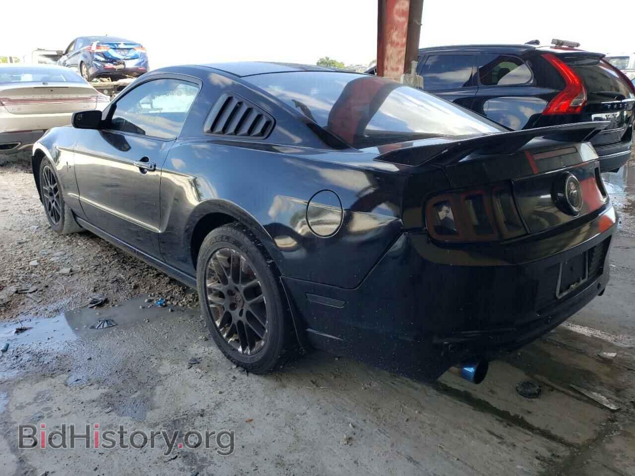 2013 FORD MUSTANG - VIN: 1ZVBP8AM7D5212887 - Фото 2