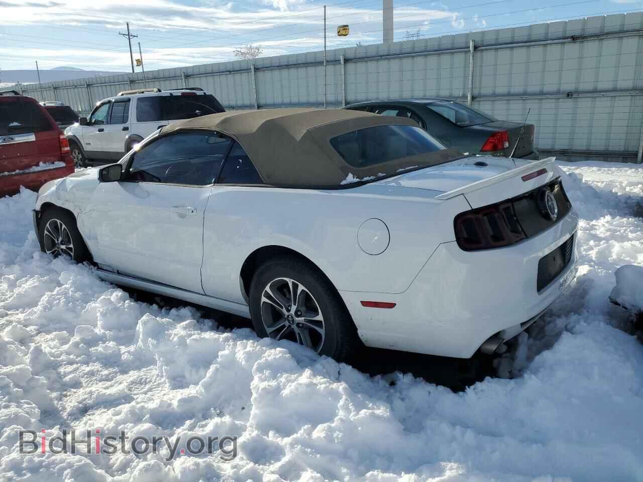 2014 FORD MUSTANG - VIN: 1ZVBP8EM3E5264884 - Фото 2