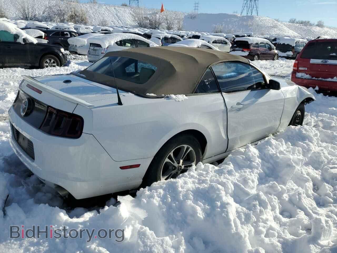 2014 FORD MUSTANG - VIN: 1ZVBP8EM3E5264884 - Фото 3