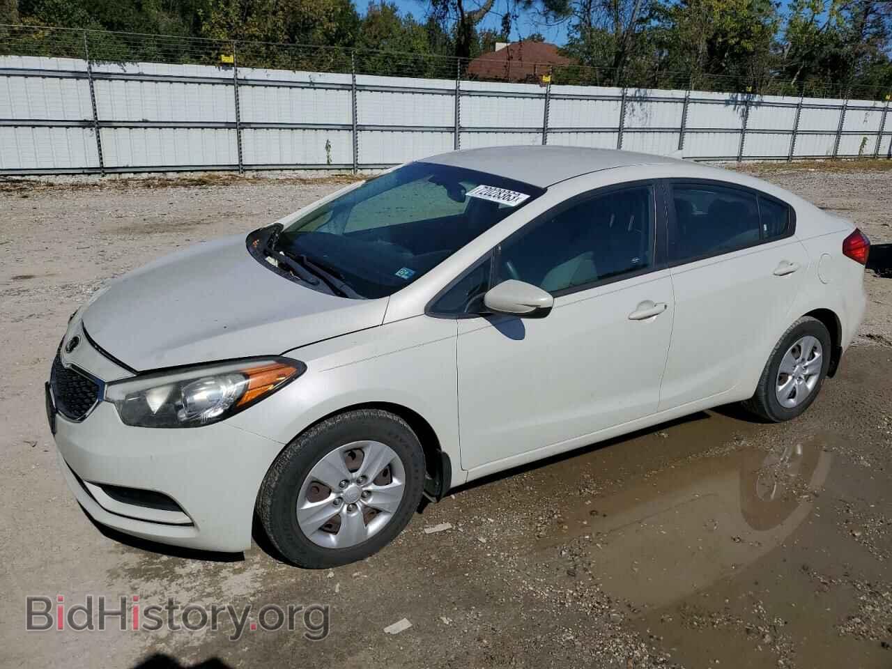 Фотография KNAFK4A69E5178673 - KIA FORTE 2014