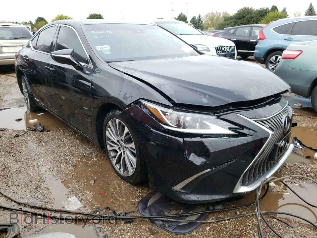 2020 LEXUS ES300 - VIN: 58AD21B1XLU006686 - Фото 4