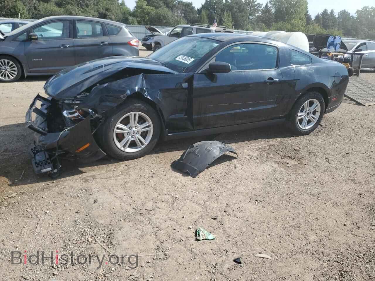 Фотография 1ZVBP8AM6C5209431 - FORD ALL Models 2012