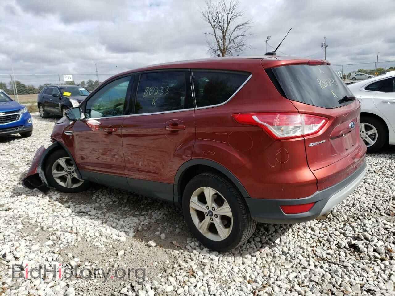 2014 FORD ESCAPE - VIN: 1FMCU0GX4EUB81233 - Фото 2
