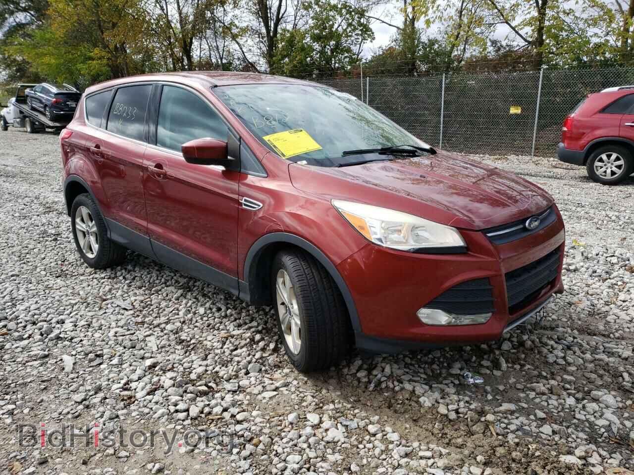 2014 FORD ESCAPE - VIN: 1FMCU0GX4EUB81233 - Фото 4