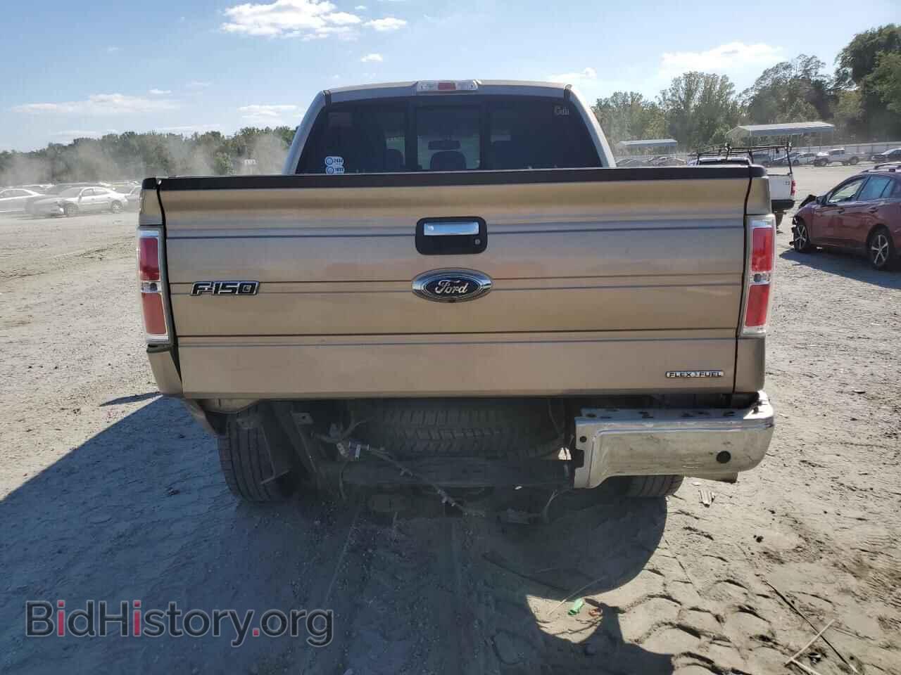 2013 FORD F-150 - VIN: 1FTFW1EFXDFB00458 - Фото 6