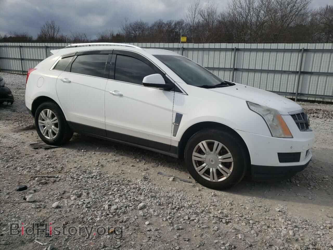2011 CADILLAC SRX - VIN: 3GYFNAEY7BS669677 - Фото 4
