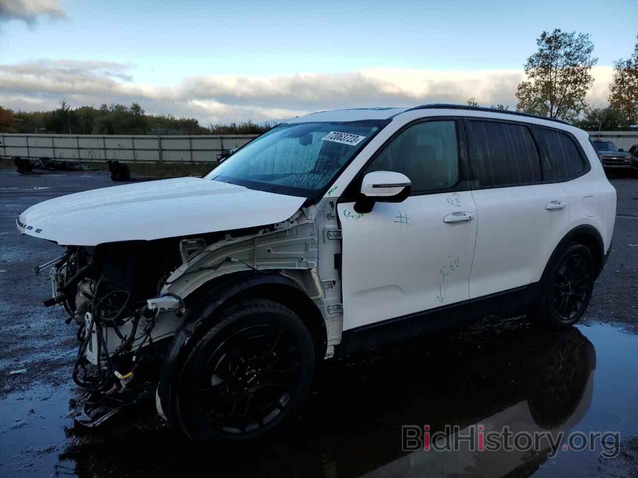 Photo 5XYP3DHC5NG243042 - KIA TELLURIDE 2022