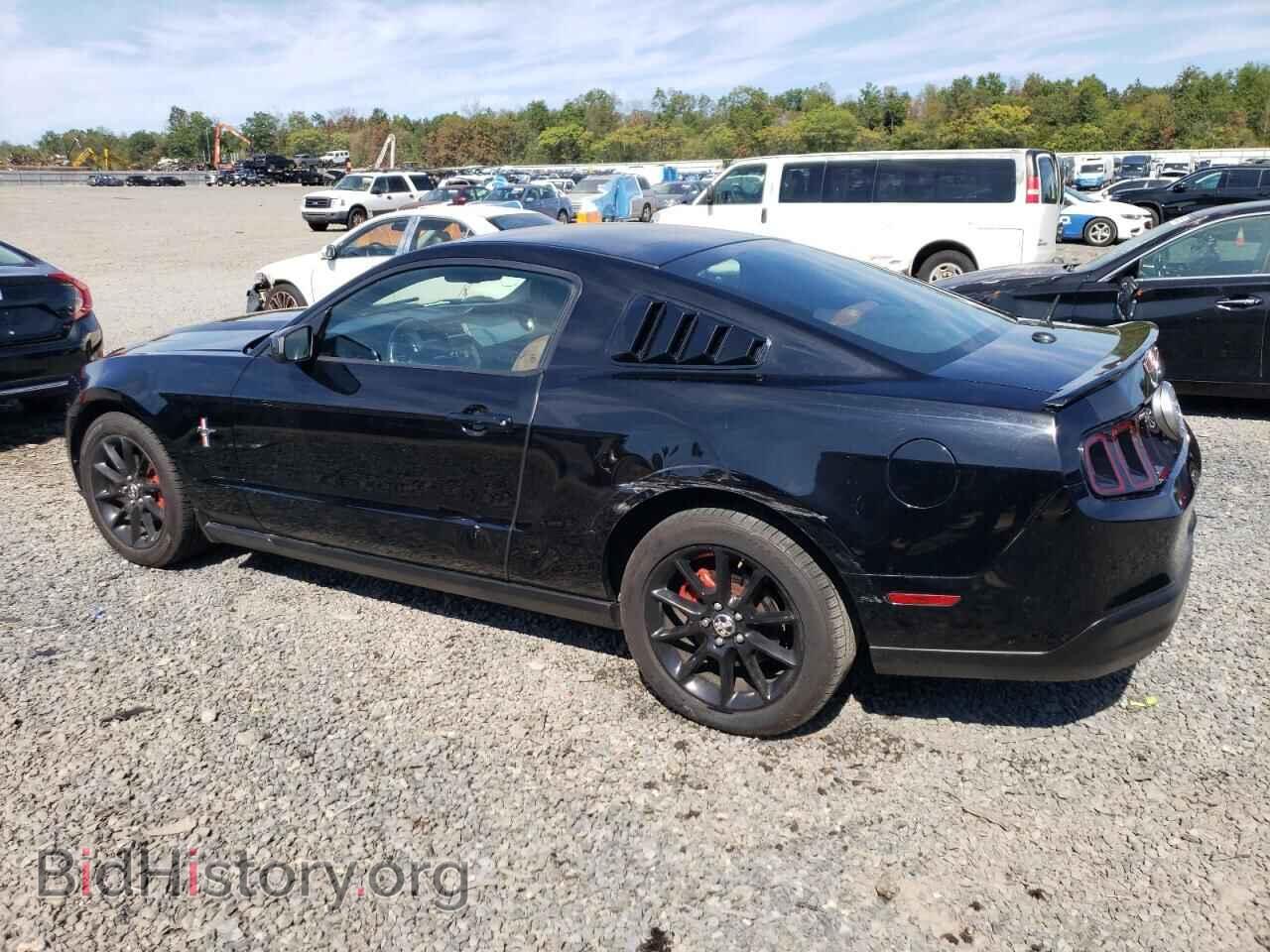 2010 FORD ALL Models - VIN: 1ZVBP8ANXA5130057 - Фото 2