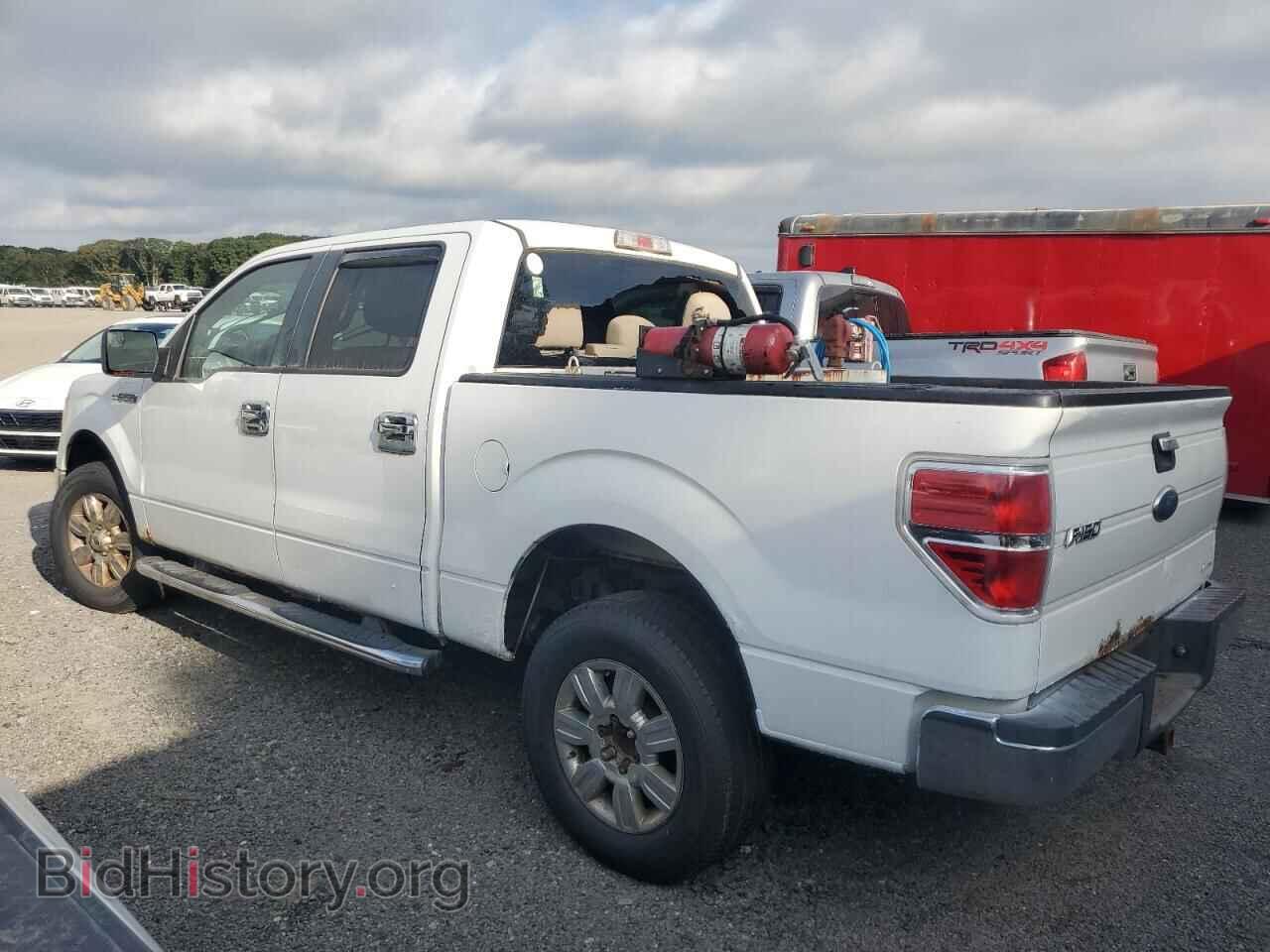 2011 FORD F-150 - VIN: 1FTFW1EF8BFA67702 - Фото 2