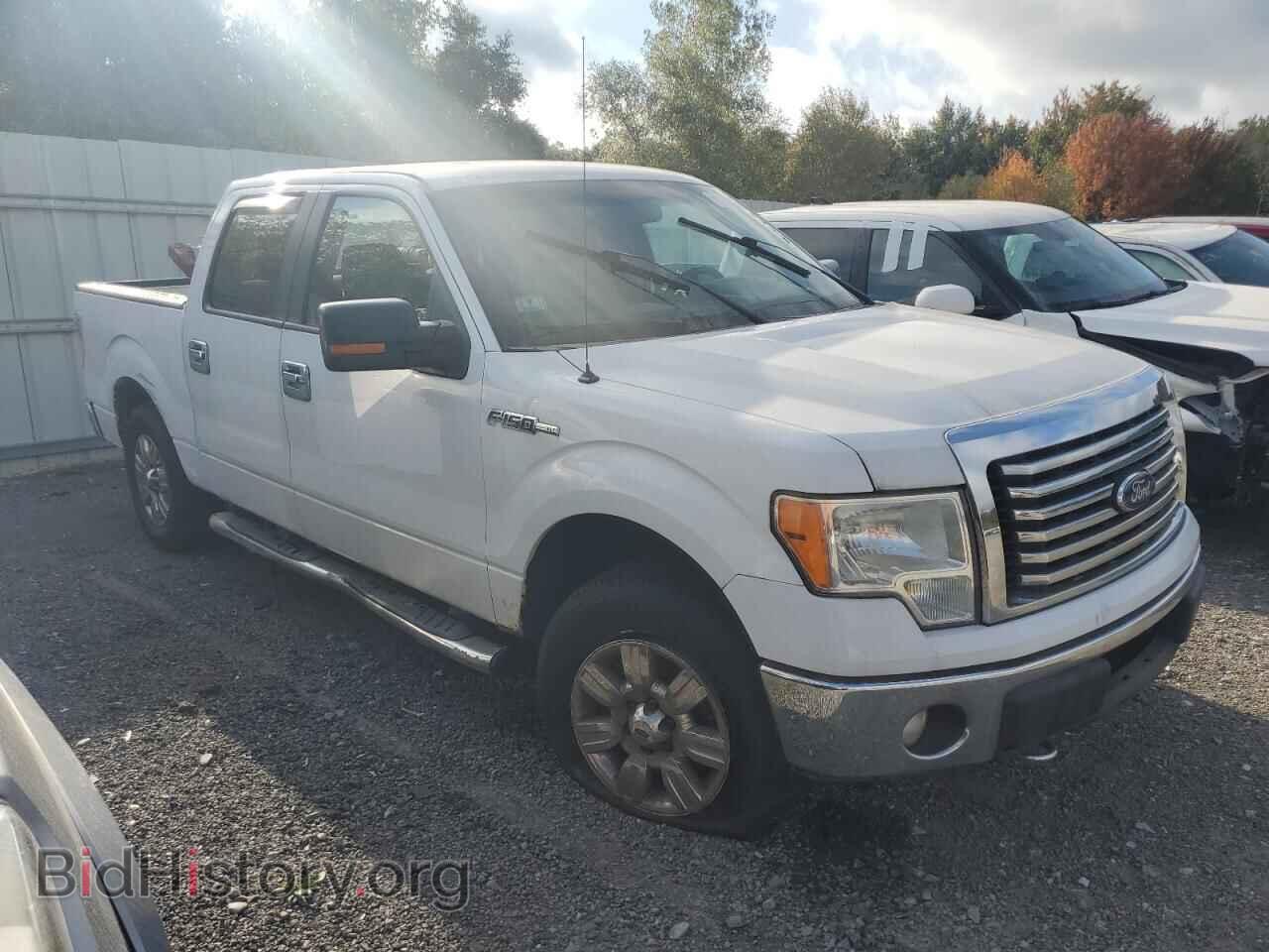 2011 FORD F-150 - VIN: 1FTFW1EF8BFA67702 - Фото 4