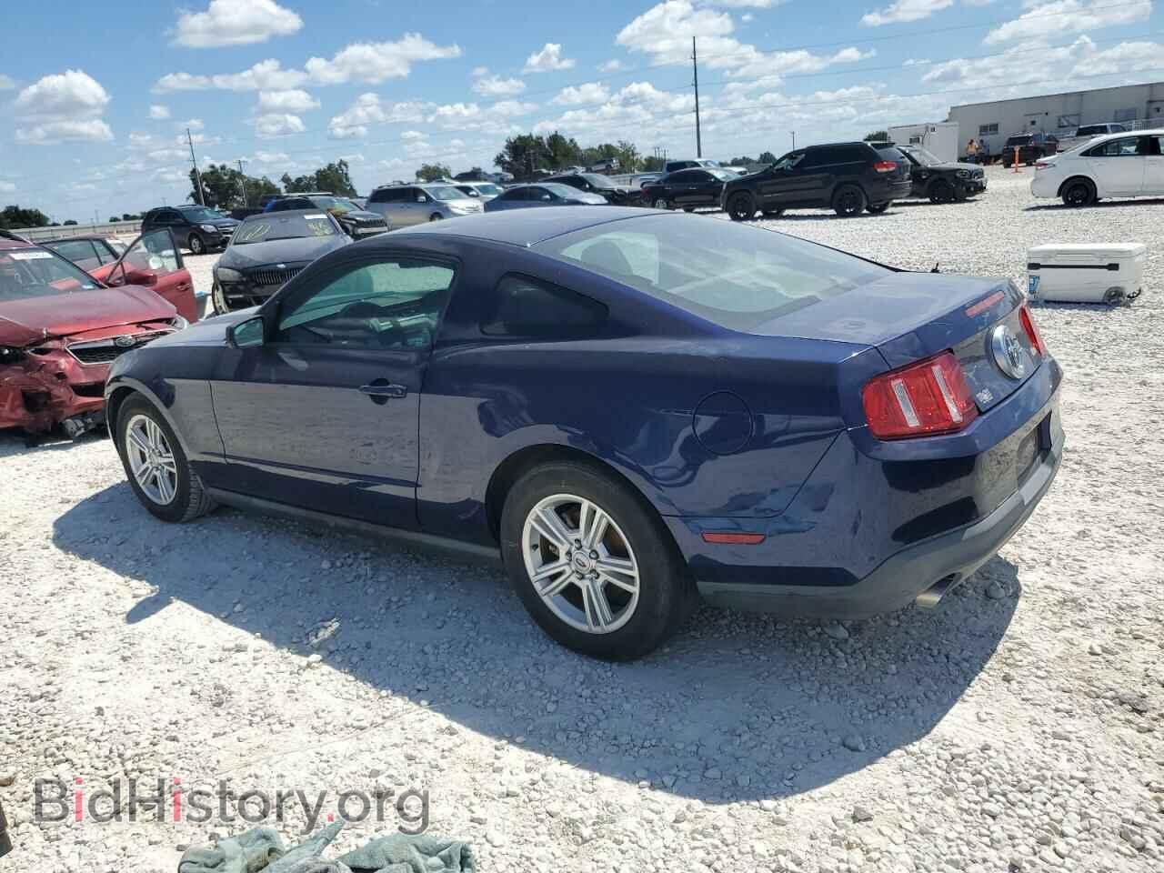 2011 FORD ALL Models - VIN: 1ZVBP8AMXB5155937 - Фото 2