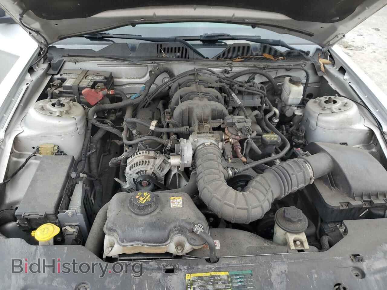 2010 FORD ALL Models - VIN: 1ZVBP8EN7A5177976 - Фото 11