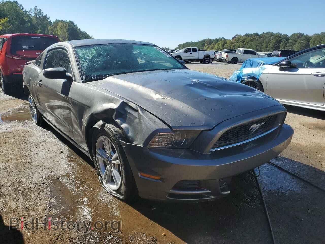2013 FORD ALL Models - VIN: 1ZVBP8AM4D5265675 - Фото 4