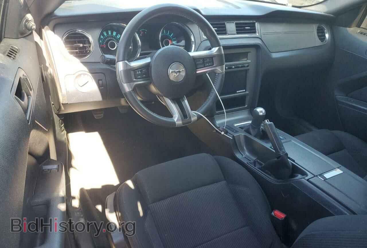 2013 FORD ALL Models - VIN: 1ZVBP8AM4D5265675 - Фото 8