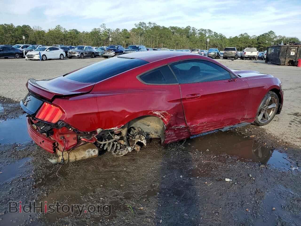 2015 FORD ALL Models - VIN: 1FA6P8AM6F5387211 - Фото 3