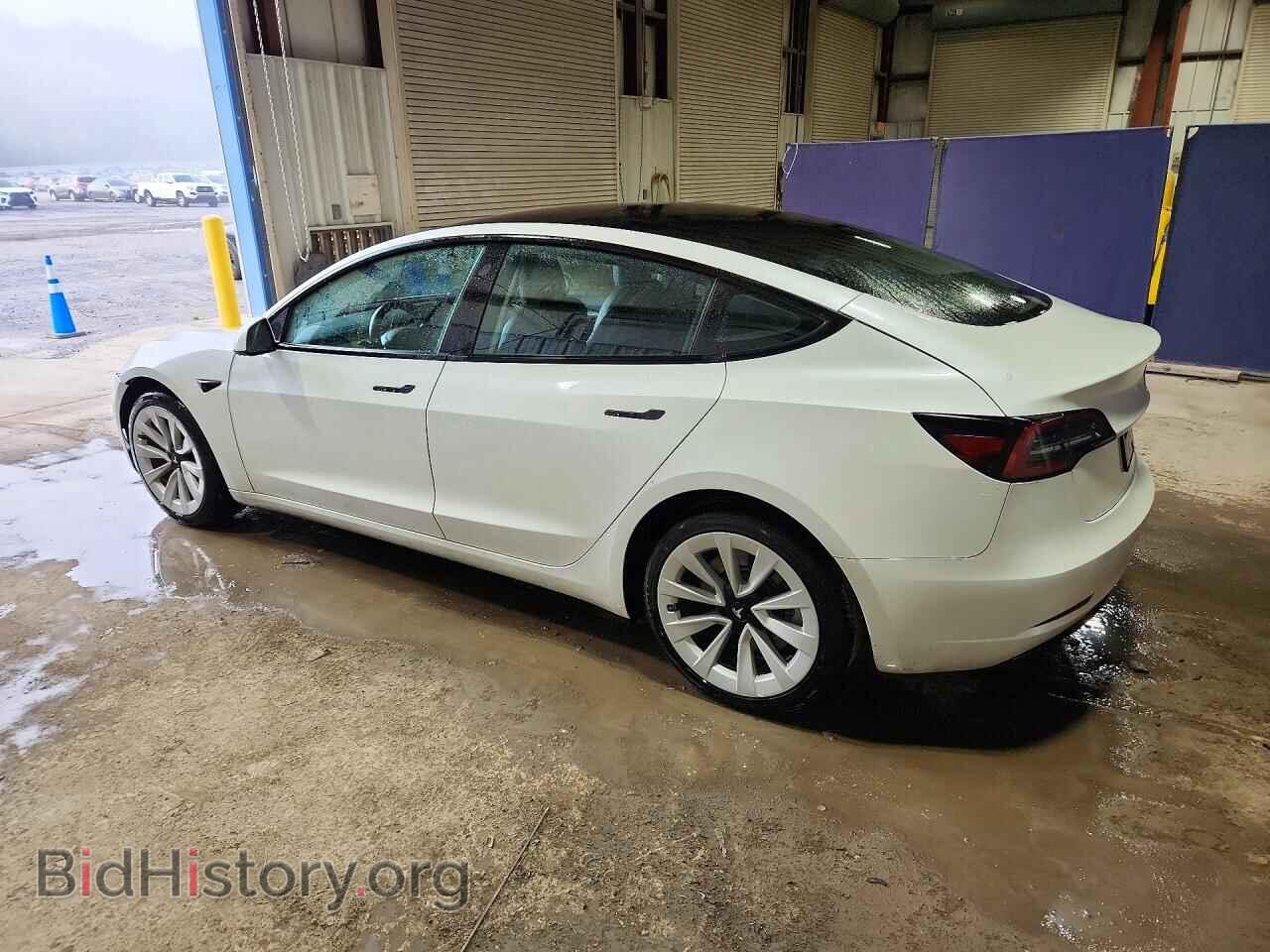 2023 TESLA MODEL 3 - VIN: 5YJ3E1EA4PF435248 - Photo 2
