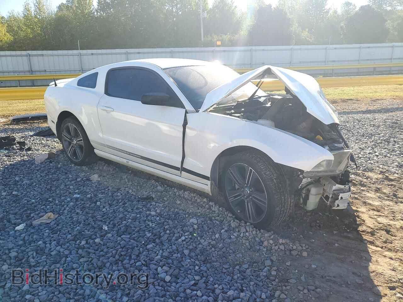 2013 FORD MUSTANG - VIN: 1ZVBP8AM0D5245987 - Фото 4