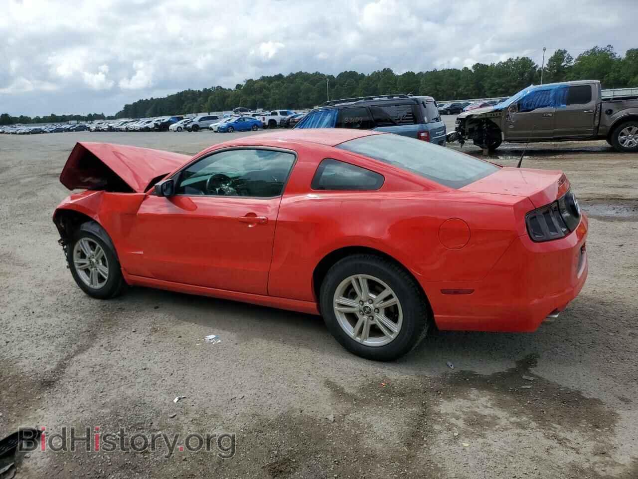 2014 FORD ALL Models - VIN: 1ZVBP8AM7E5268541 - Фото 2