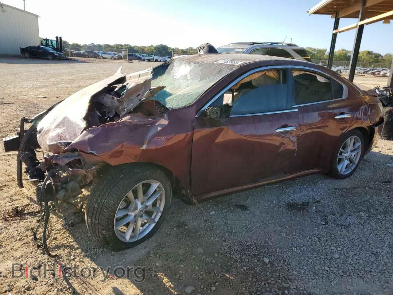 Photo 1N4AA5AP3DC831853 - NISSAN MAXIMA 2013