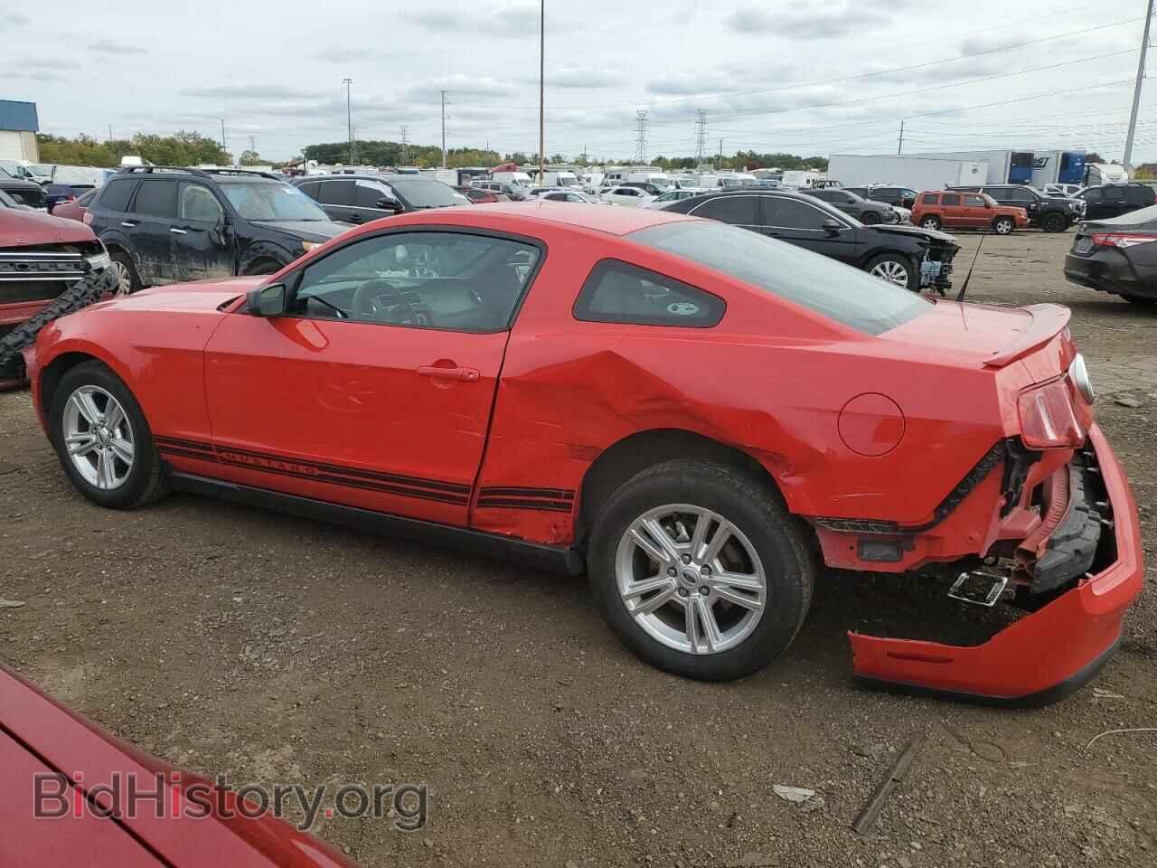 2010 FORD ALL Models - VIN: 1ZVBP8AN4A5154435 - Фото 2