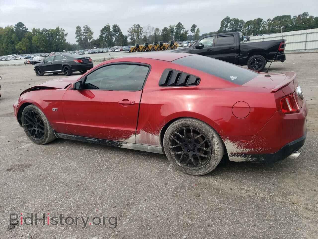 2010 FORD MUSTANG - VIN: 1ZVBP8CH9A5176759 - Фото 2