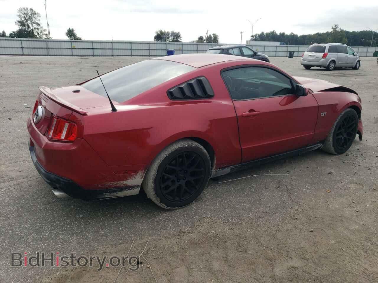 2010 FORD MUSTANG - VIN: 1ZVBP8CH9A5176759 - Фото 3