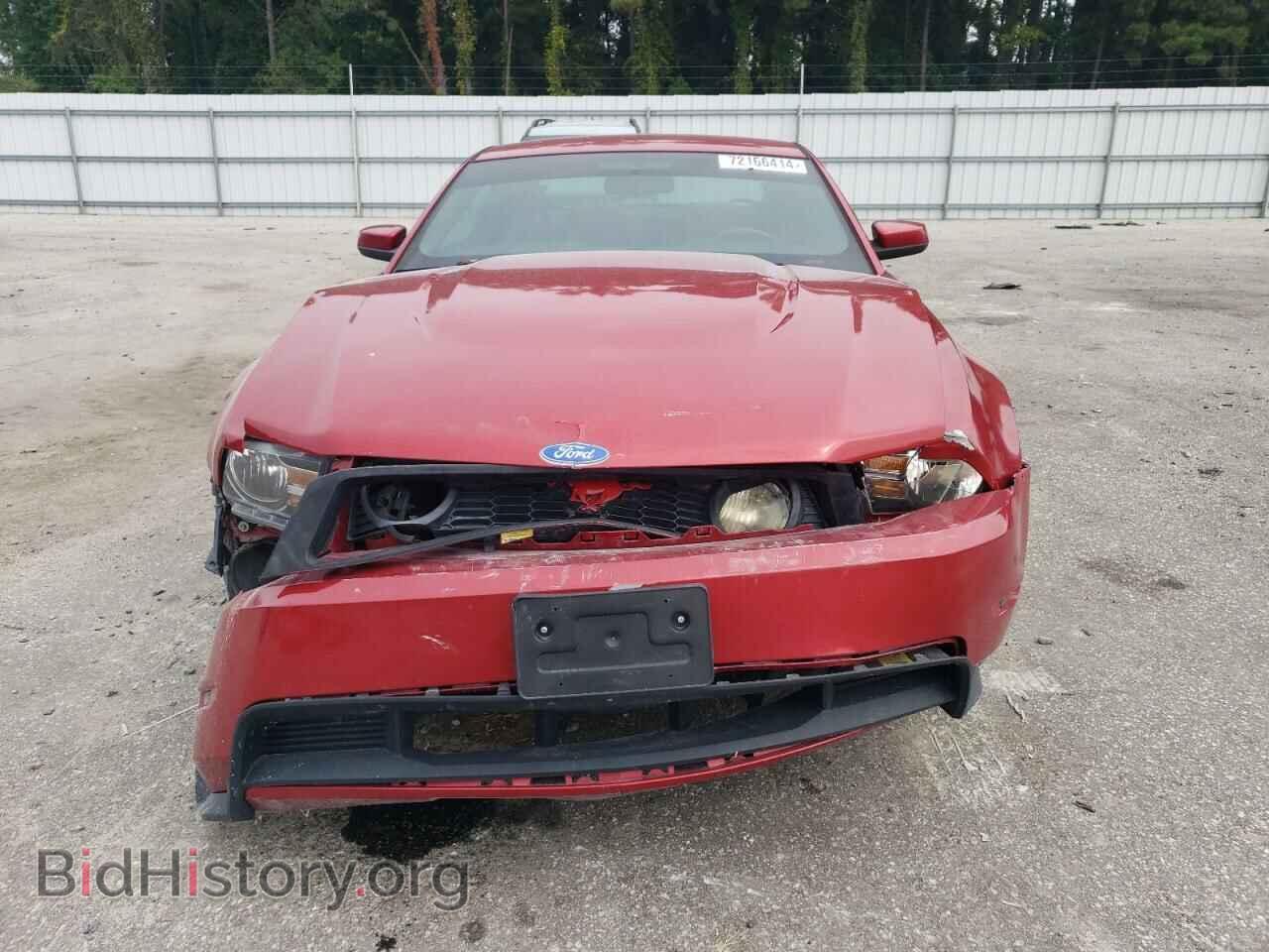 2010 FORD MUSTANG - VIN: 1ZVBP8CH9A5176759 - Фото 5