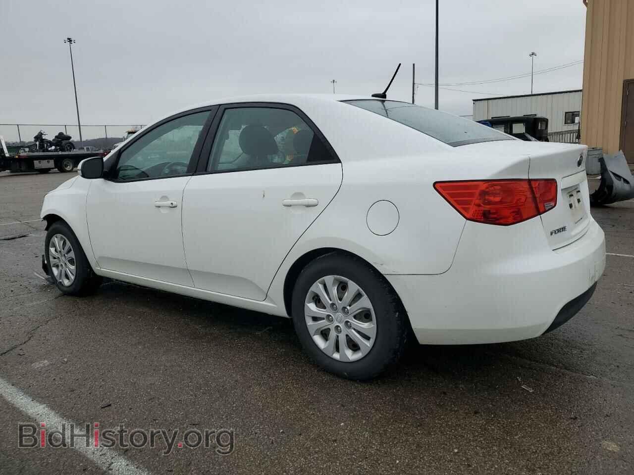 2012 KIA FORTE - VIN: KNAFU4A24C5553454 - Фото 2