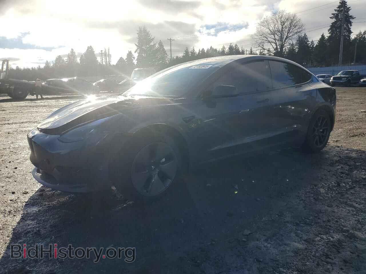 Photo 5YJ3E1EA1PF674983 - TESLA MODEL 3 2023