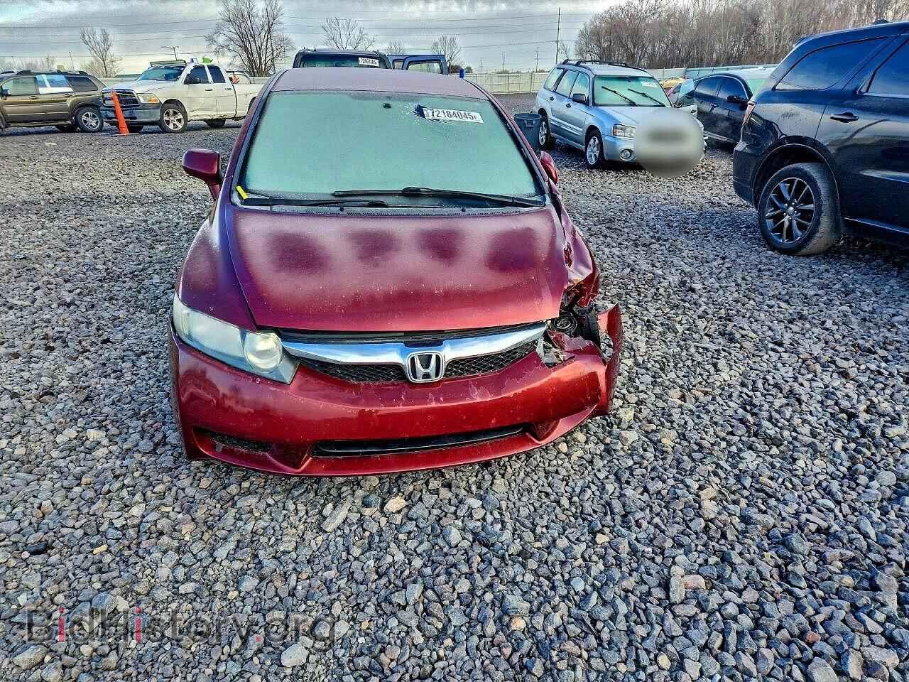2009 HONDA CIVIC - VIN: 19XFA16509E039093 - Фото 5