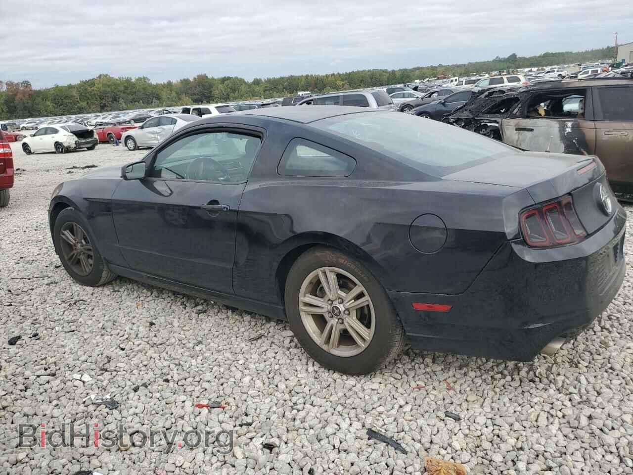 2014 FORD ALL Models - VIN: 1ZVBP8AM3E5286504 - Фото 2