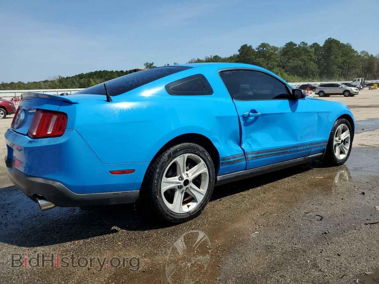 2010 FORD ALL Models - VIN: 1ZVBP8AN0A5165156 - Фото 3
