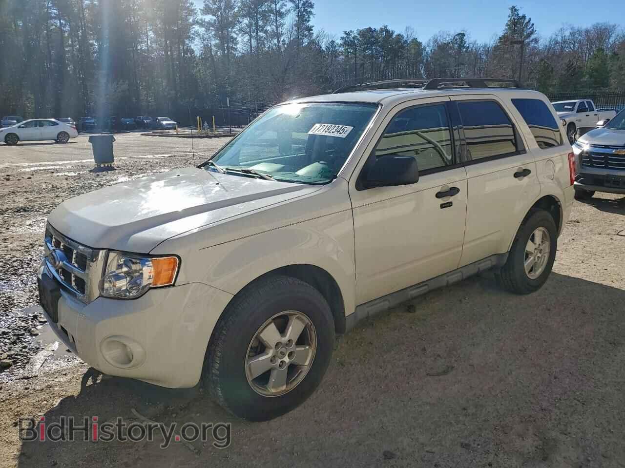Photo 1FMCU0D7XAKC16965 - FORD ESCAPE 2010