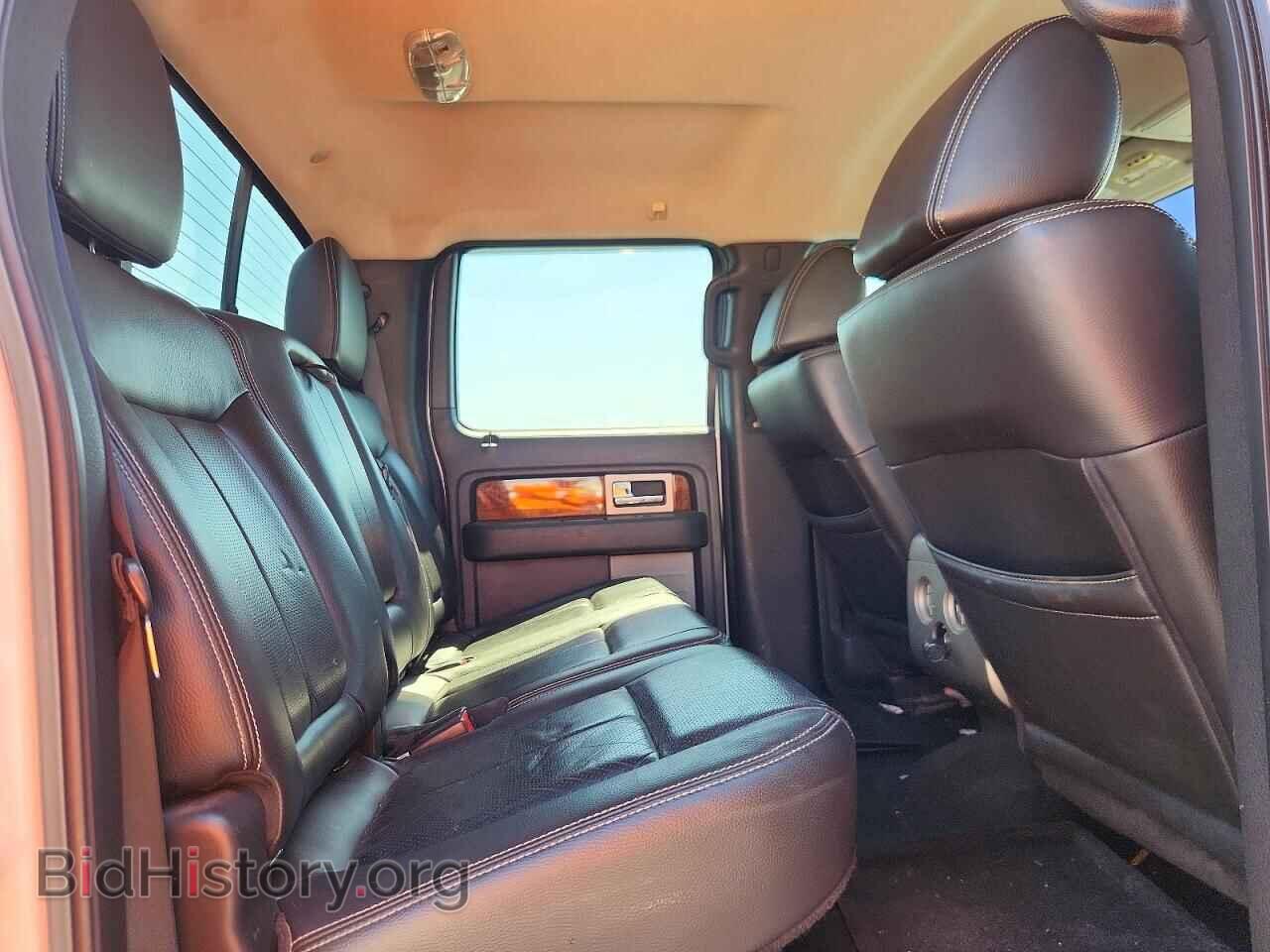 2010 FORD F150 - VIN: 1FTFW1EV6AFC04772 - Фото 10