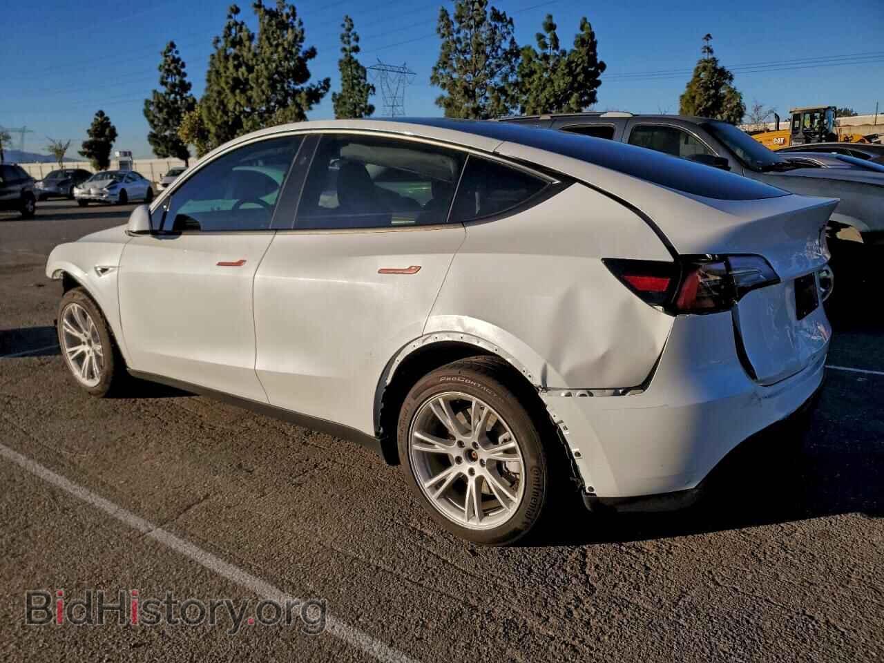 2024 TESLA MODEL Y - VIN: 7SAYGDEE5RF091004 - Фото 2