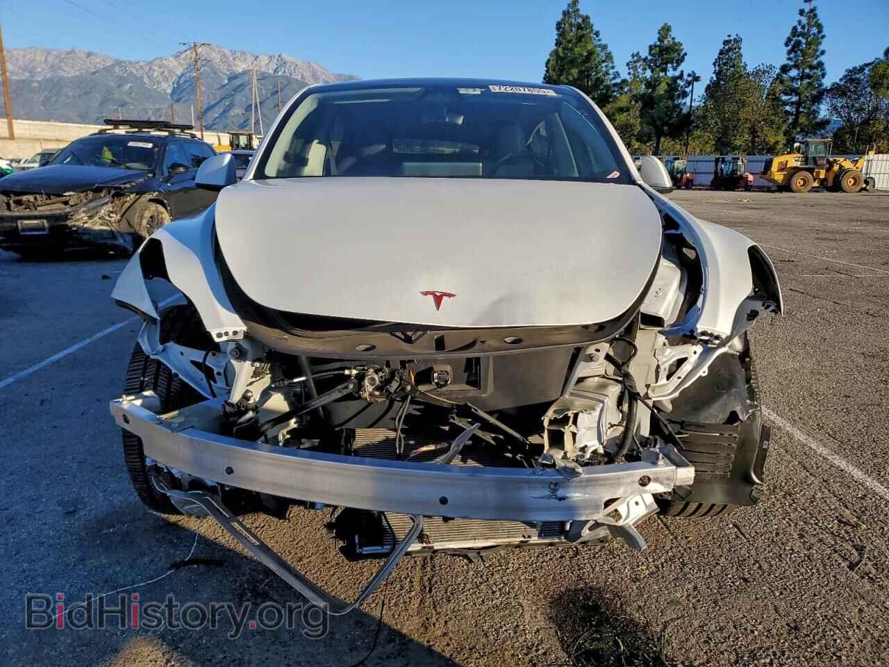 2024 TESLA MODEL Y - VIN: 7SAYGDEE5RF091004 - Фото 5