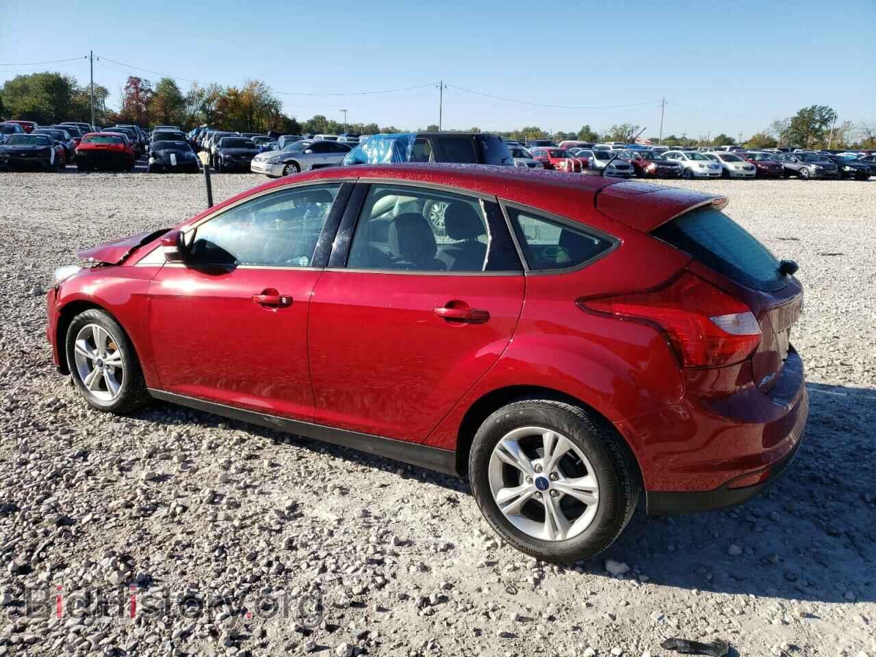 2014 FORD FOCUS - VIN: 1FADP3K22EL316864 - Фото 2
