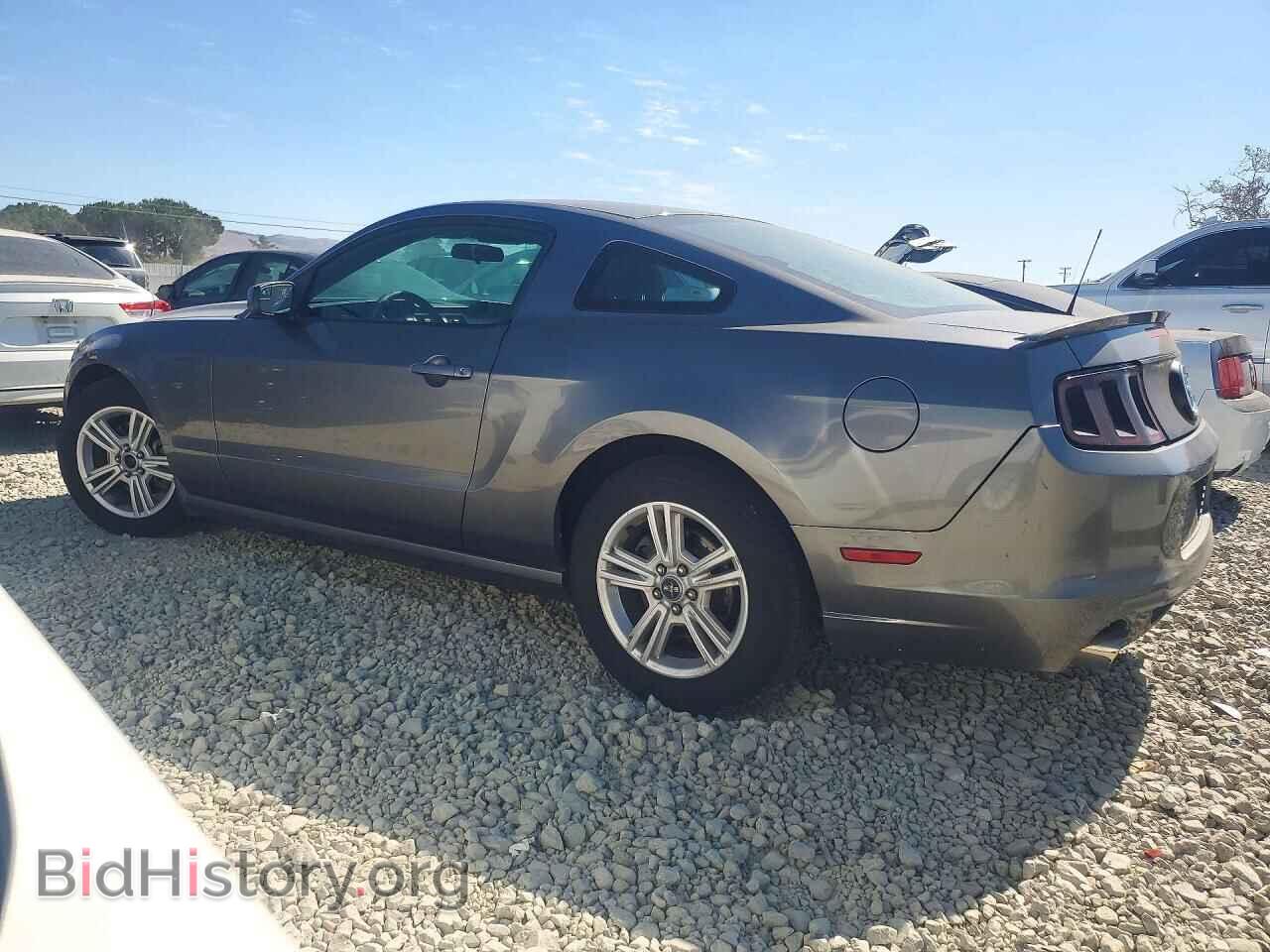 2013 FORD MUSTANG - VIN: 1ZVBP8AM9D5255529 - Photo 2