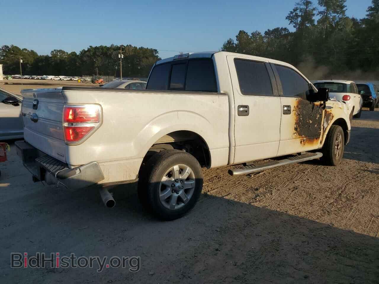 2013 FORD F-150 - VIN: 1FTFW1CF8DFD23116 - Фото 3