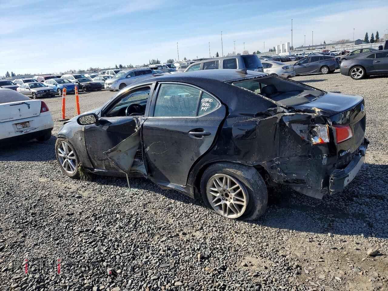2009 LEXUS IS - VIN: JTHBK262295103703 - Фото 2