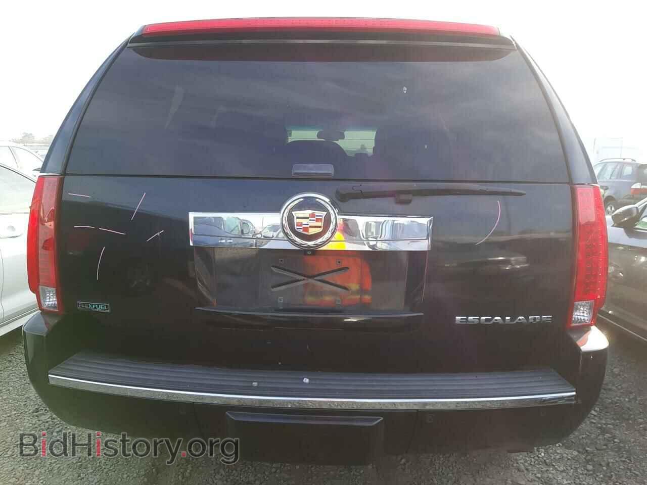 2010 CADILLAC ESCALADE - VIN: 1GYUKBEF7AR163532 - Фото 6