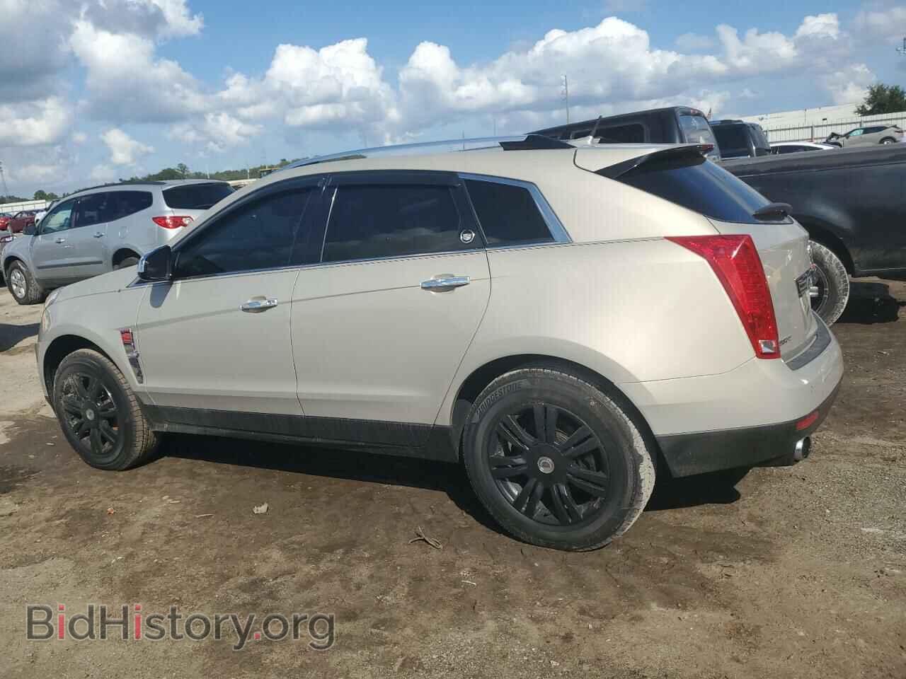 2011 CADILLAC SRX - VIN: 3GYFNAEY2BS644671 - Фото 2