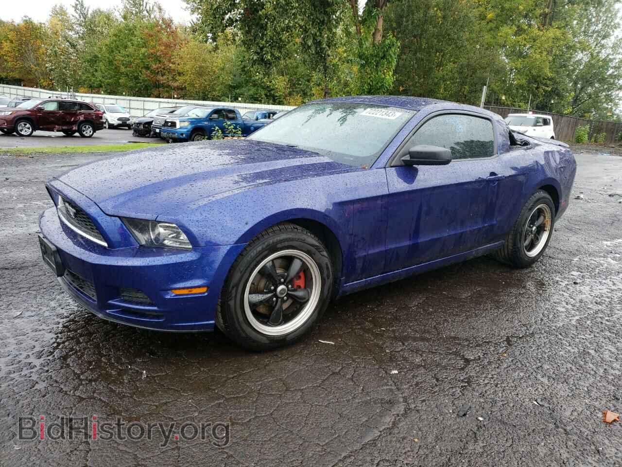 Фотография 1ZVBP8AM5D5255530 - FORD ALL Models 2013