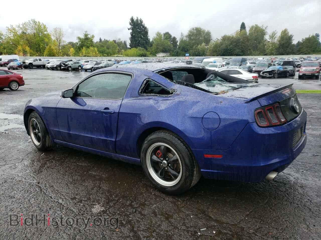 2013 FORD ALL Models - VIN: 1ZVBP8AM5D5255530 - Фото 2