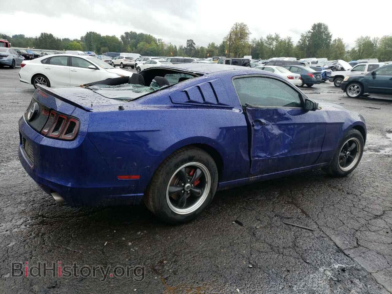 2013 FORD ALL Models - VIN: 1ZVBP8AM5D5255530 - Фото 3