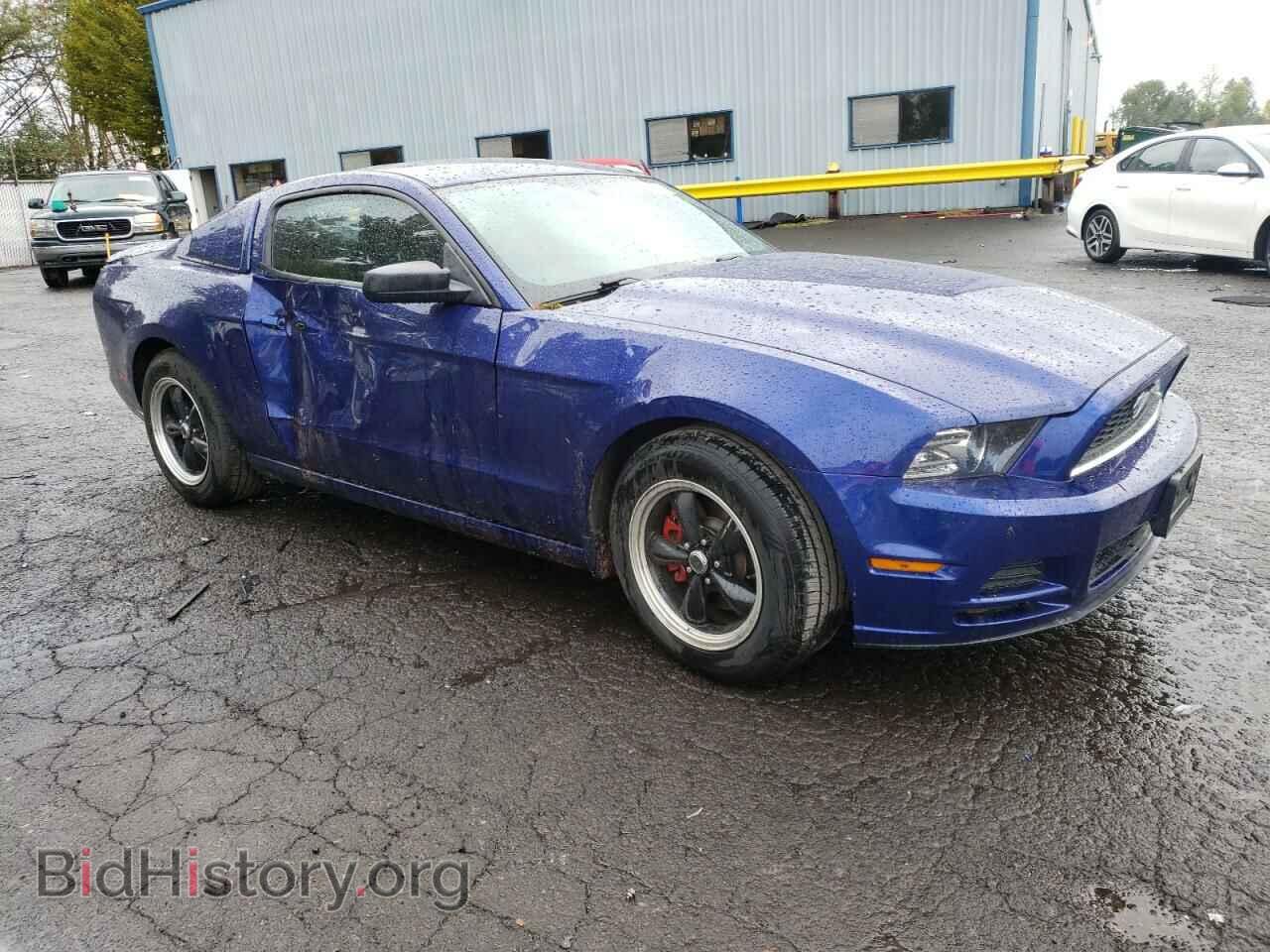 2013 FORD ALL Models - VIN: 1ZVBP8AM5D5255530 - Фото 4