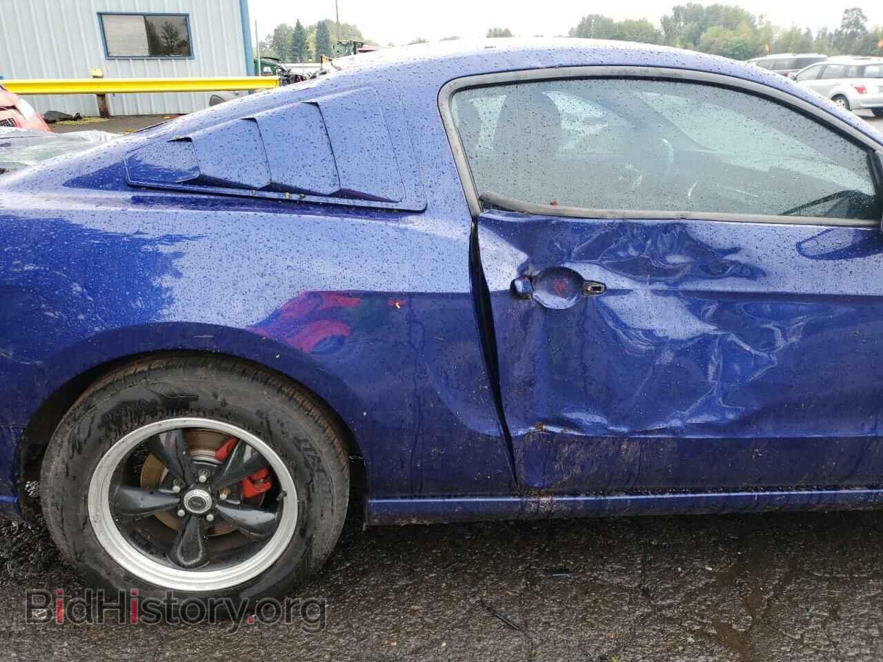 2013 FORD ALL Models - VIN: 1ZVBP8AM5D5255530 - Фото 10