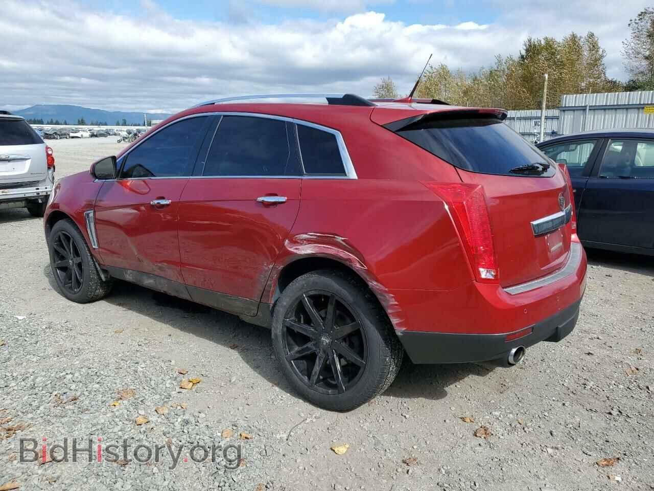 2013 CADILLAC SRX - VIN: 3GYFNJE39DS569491 - Фото 2