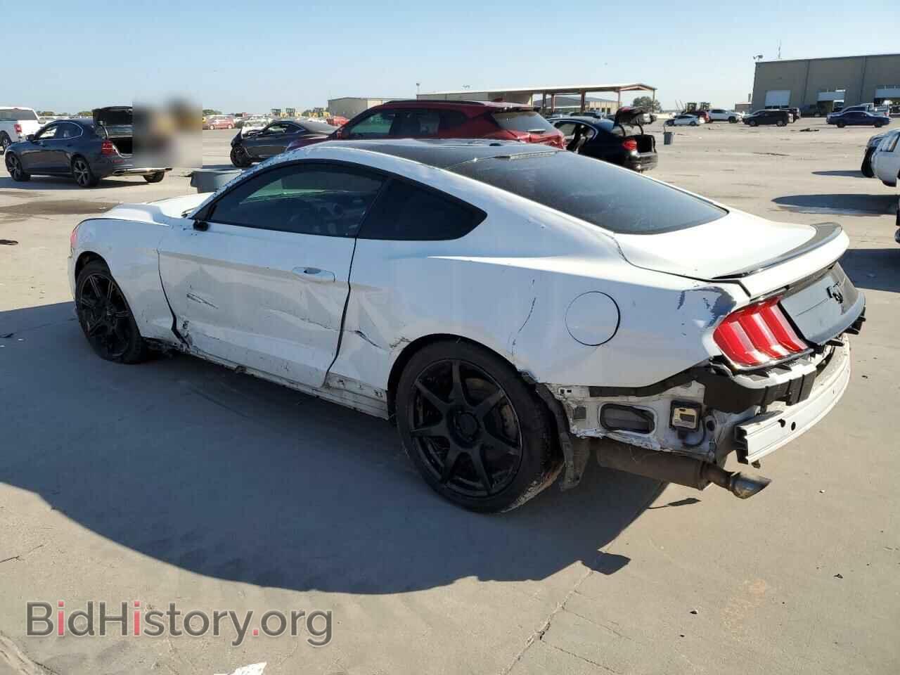 2019 FORD ALL Models - VIN: 1FA6P8TH3K5142828 - Photo 2